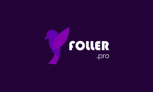 Генератор профессиональной графики Foller Pro